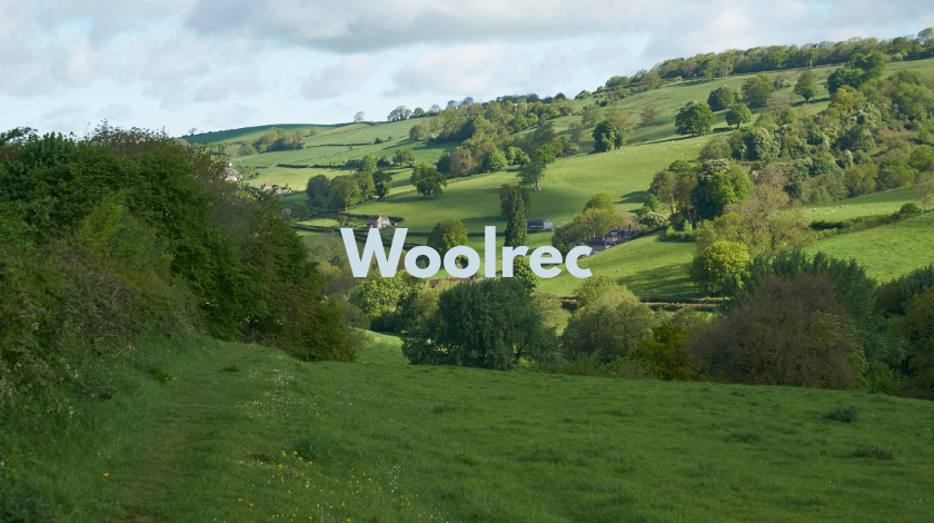 Woolrec