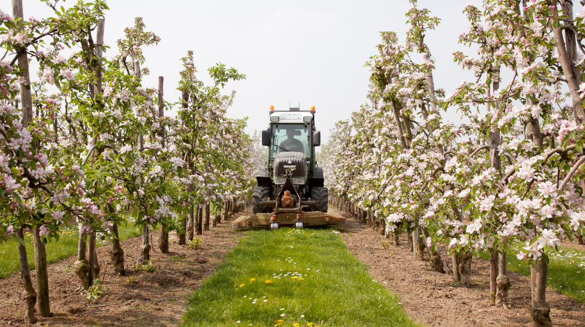 Landbouw Economisch Instituut