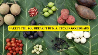 fake it till you break it by k.a. tucker goodreads