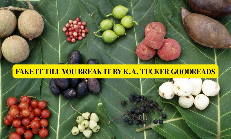 fake it till you break it by k.a. tucker goodreads
