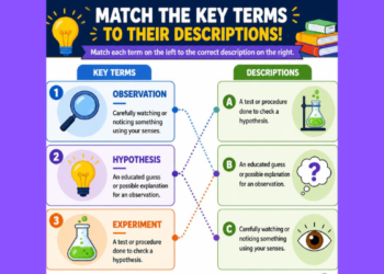 matching 3-1 key terms and descriptions