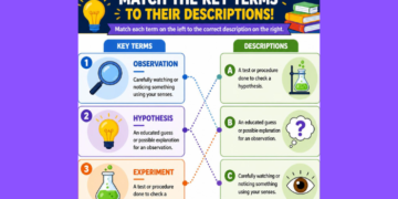 matching 3-1 key terms and descriptions
