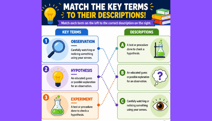 matching 3-1 key terms and descriptions